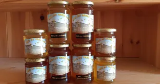 Apiculture - Miel du Tanargue - Grégory Michel