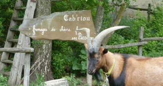 Gîte d'étape "La Louisette"