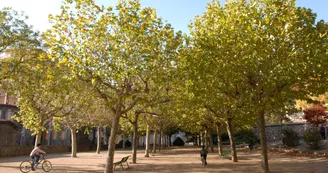 Parc des Platanes