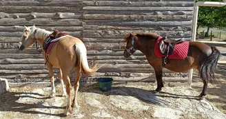 Balades à poneys avec l'Ecurie des quatre Soleils