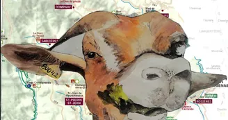 Ilda Roussel - Artiste aquarelliste Ilda Roussel - Artiste aquarelliste