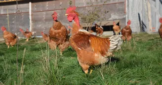 La ferme de Cagnard