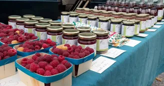 Producteurs Label Terre