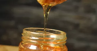 Apiculture - Les Avettes de Tressol - Serge Barbut
