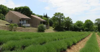 Village de gîtes Le Serre de Pierre