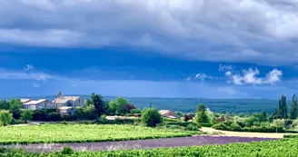 Villa L'Embellie, gîte 3 *, climatisation /grande piscine privée, 6-7 personnes SUD Ardèche Villa L'Embellie, gîte 3 *, climatisation /grande piscine privée, 6-7 personnes SUD Ardèche