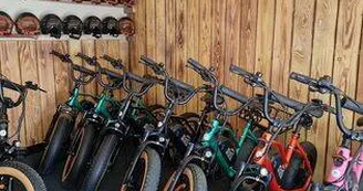 Location de vélos électrique vintage avec les bikes de papa - Journée