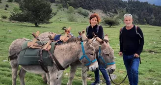 Randonnée avec ânes à la journée