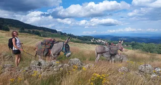 Randonnée avec ânes à la journée