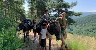 Randonnée avec ânes à la journée