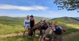 Randonnée avec ânes à la journée