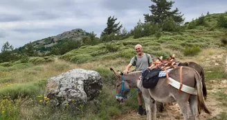 Randonnée avec ânes à la journée