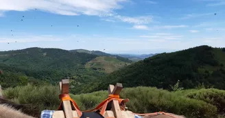 Randonnée avec ânes à la journée
