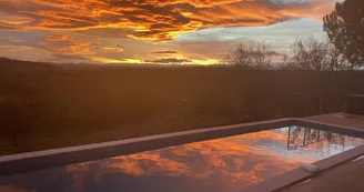 Les Agaves de Balazuc
