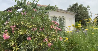 Les Agaves de Balazuc