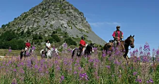 Randonnée à cheval et cours d'équitation - L'Eperon
