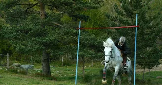 Randonnée à cheval et cours d'équitation - L'Eperon