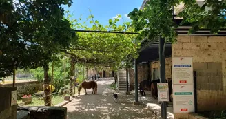 Gîte du Foussac