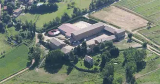 Activités équestres au Haras de la Majorie