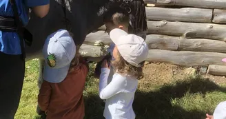 Visite de l'asinerie et/ou balade avec un âne baté