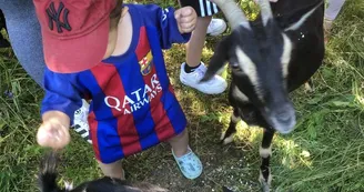 Visite de l'asinerie et/ou balade avec un âne baté