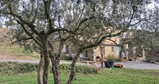 Gîte de l'Espine Gîte de l'Espine