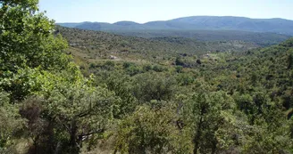 Gîte de l'Espine Gîte de l'Espine