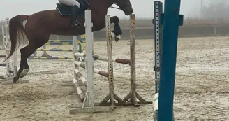 Cours et stages d'équitation - Centre équestre de Bonnemontesse