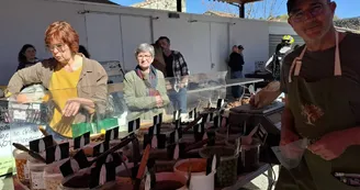 Tous les dimanches c'est jour de marché sous la Halle Tous les dimanches c'est jour de marché sous la Halle