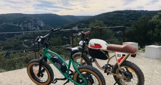 Location de vélos électrique vintage avec les Bikes de Papa