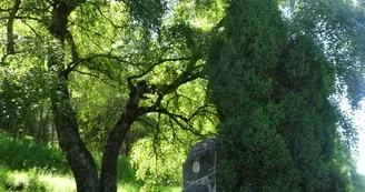 Parc des Pèlerins