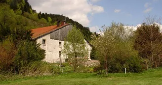 Studio 3 personnes