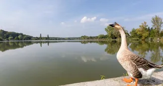 Etang de Farschviller