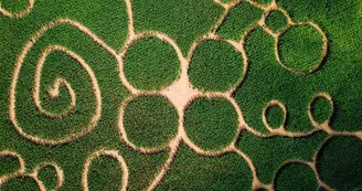 Labyrinthe de maïs Labyrinthe de maïs
