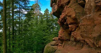 Site d'escalade - Le Rocher du Hohwalsch