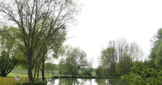 Aire du Willenbrunnengarten