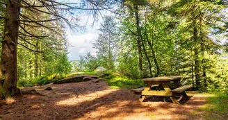 La roche du renard