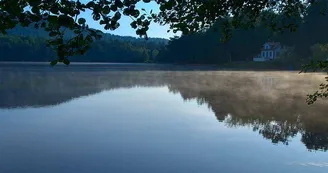L'étang de Hanau
