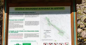 La réserve biologique intégrale du Kertoff