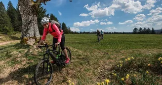 Sports passion location de cycles