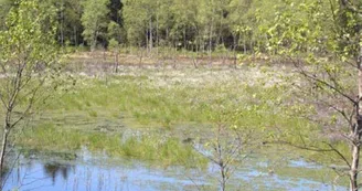 Le Conservatoire d'Espaces Naturels de Lorraine