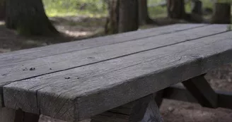 Aire de pique-nique de Boulay - Buchwald