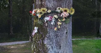 Le Chêne de la Vierge