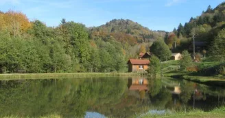 Étang du Moulin