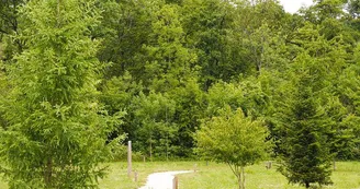 Arboretum