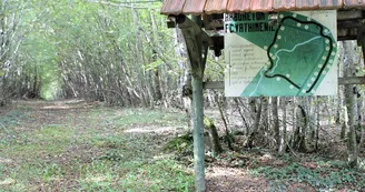 Arboretum de Vathiménil