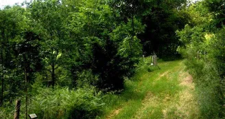Arboretum