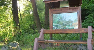 Forêt communale de Zetting