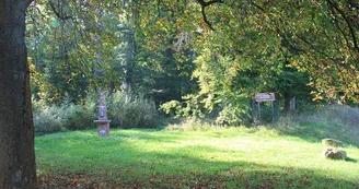 Forêt communale de Zetting