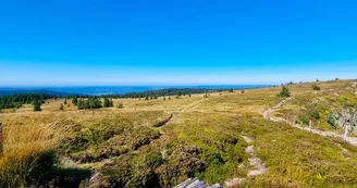 La réserve naturelle du Tanet - Gazon du Faing La réserve naturelle du Tanet - Gazon du Faing